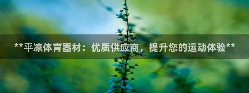 极悦平台客服团队：**平凉体育器材：优质供应商，提升