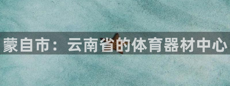 极悦平台app二维码怎么弄出来：蒙自市：云南省的体育
