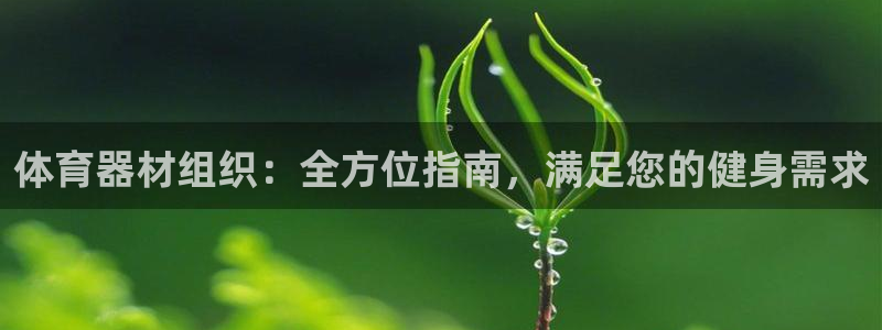 极悦娱乐负责人：体育器材组织：全方位指南，满足您的健