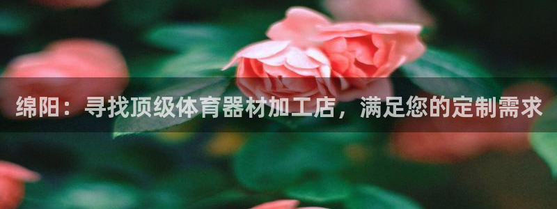 极悦平台官网登录不了了：绵阳：寻找顶级体育器材加工店