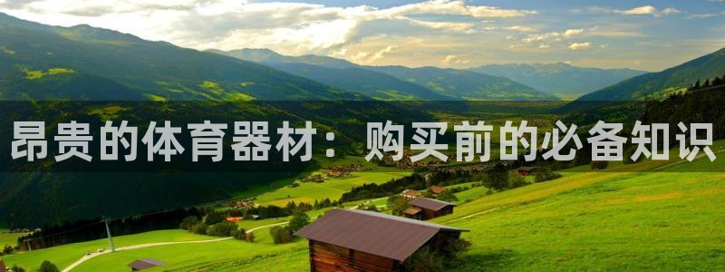极悦平台是干什么的公司：昂贵的体育器材：购买前的必备