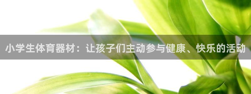 极悦娱乐管理最建议买吗：小学生体育器材：让孩子们主动