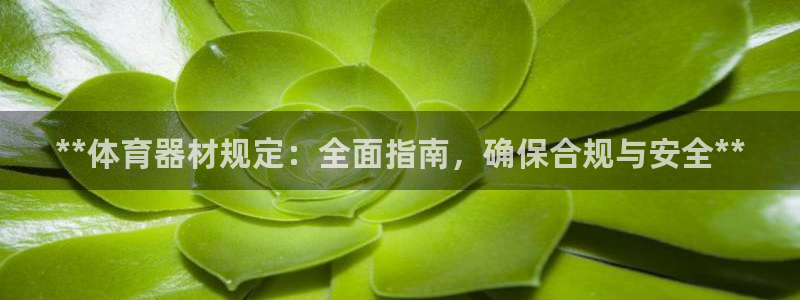 极悦娱乐app官方版本更新内容是什么：**体育器材规
