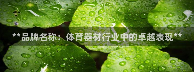 极悦娱乐官网最新版本更新内容下载：**品牌名称：体育