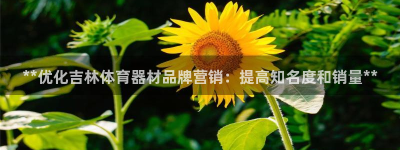 极悦平台注册失败如何解决问题：**优化吉林体育器材品