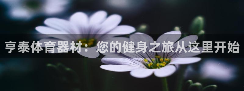 极悦平台是正规平台吗是真的吗：亨泰体育器材：您的健身