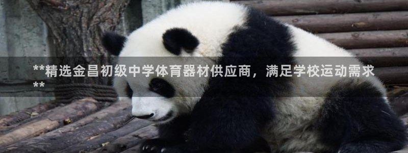 极悦平台创始人背景故事是什么：**精选金昌初级中学体
