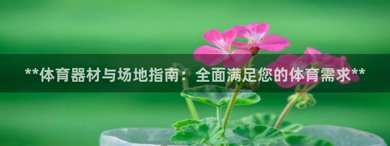 极悦平台是正规平台吗是真的吗：**体育器材与场地指南
