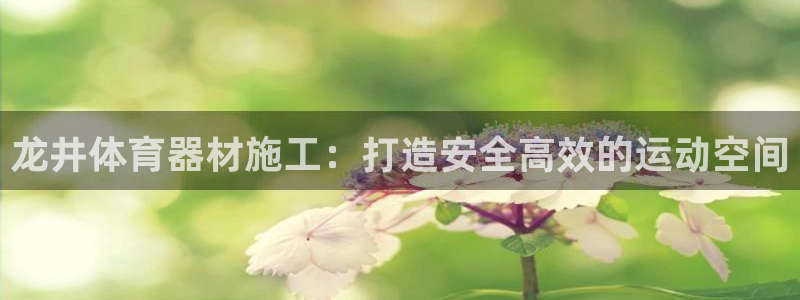 极悦娱乐会被骗吗是真的吗：龙井体育器材施工：打造安全