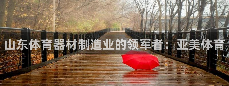 极悦官网旗舰店是正品吗：山东体育器材制造业的领军者：