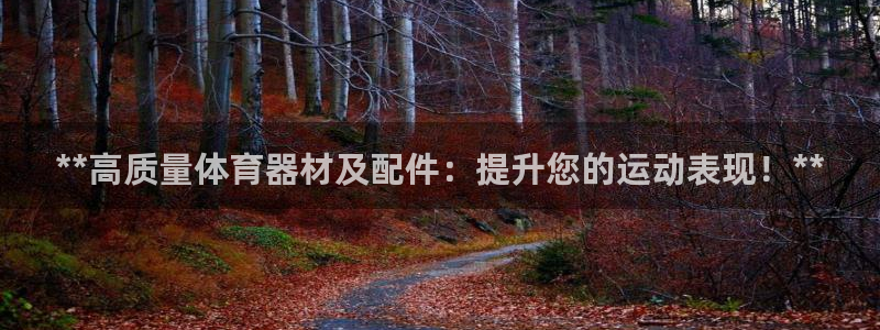 极悦官网登录：**高质量体育器材及配件：提升您的运动