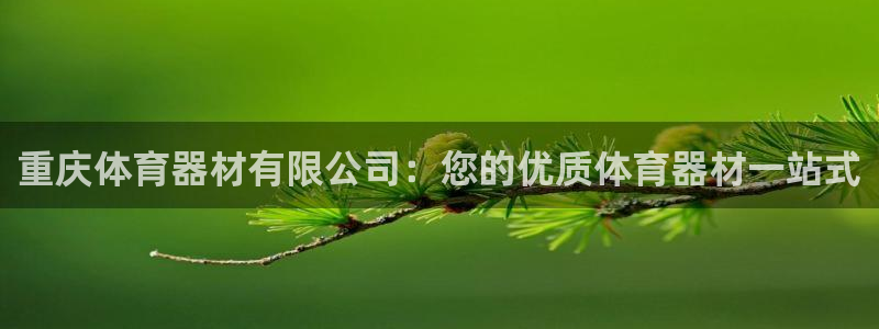 极悦平台平台注册方法与步骤图：重庆体育器材有限公司：