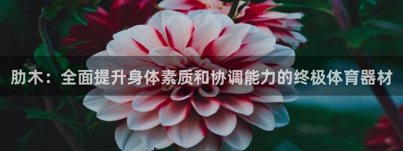 极悦平台与网易合作详情在哪：肋木：全面提升身体素质和