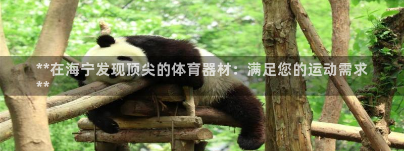 极悦平台创始人背景故事：**在海宁发现顶尖的体育器材