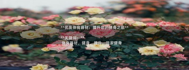 极悦官网首页登录入口网址：**优质体育器材：提升您的