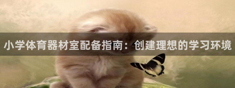 极悦娱乐创始人背景故事是什么：小学体育器材室配备指南