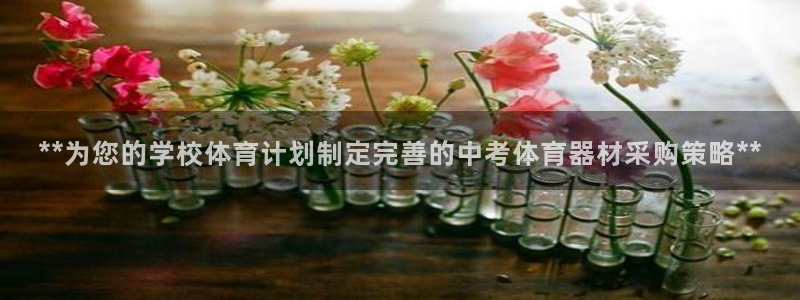 极悦娱乐的最新版本更新内容：**为您的学校体育计划制