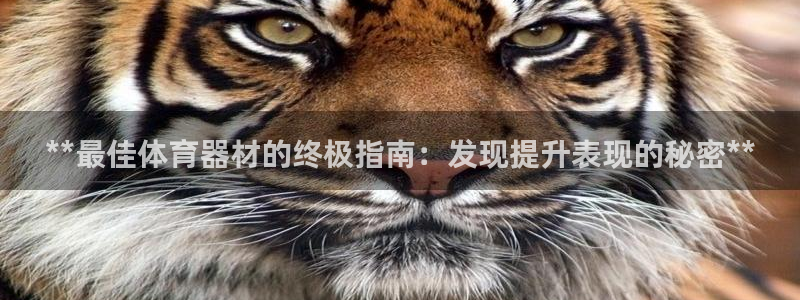 极悦平台注册流程详解视频：**最佳体育器材的终极指南