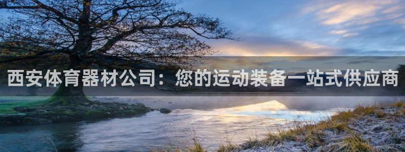 极悦平台注册用户名生成器是什么：西安体育器材公司：您