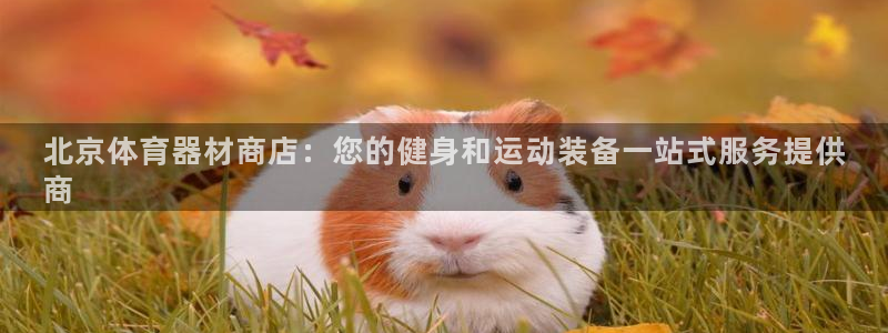 极悦平台好7.0.2.4怎么样：北京体育器材商店：您