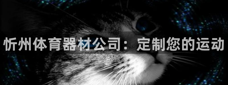 极悦娱乐创始人背景故事是什么：忻州体育器材公司：定制