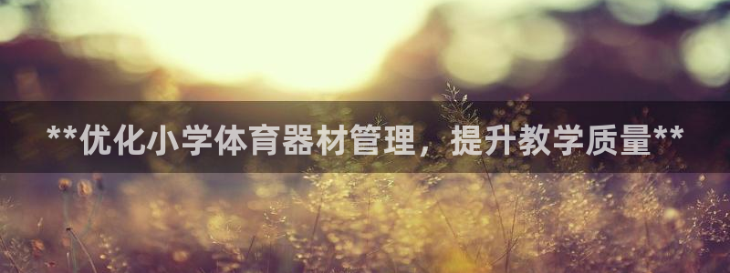 深圳极悦文化传媒有限公司：**优化小学体育器材管理，
