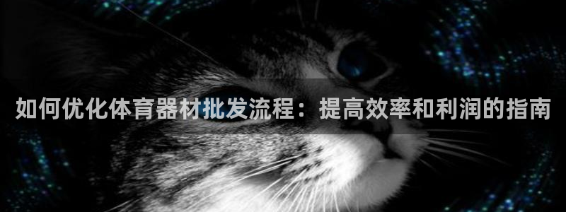 极悦娱乐：如何优化体育器材批发流程：提高效率和利润的