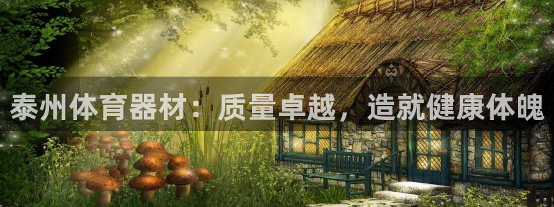极悦娱乐是资金盘吗：泰州体育器材：质量卓越，造就健康