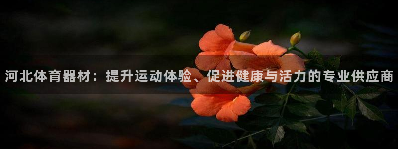 极悦平台使用注意事项：河北体育器材：提升运动体验、促