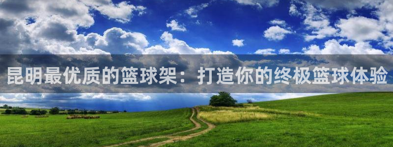 极悦娱乐的创始人背景故事是什么：昆明最优质的篮球架：
