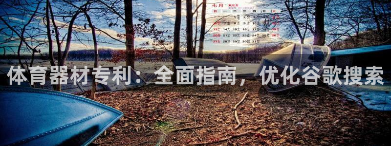 极悦官网旗舰店地址：体育器材专利：全面指南，优化谷歌