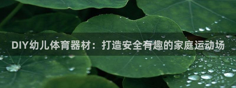 极悦平台网址皮皮虾下载：DIY幼儿体育器材：打造安全