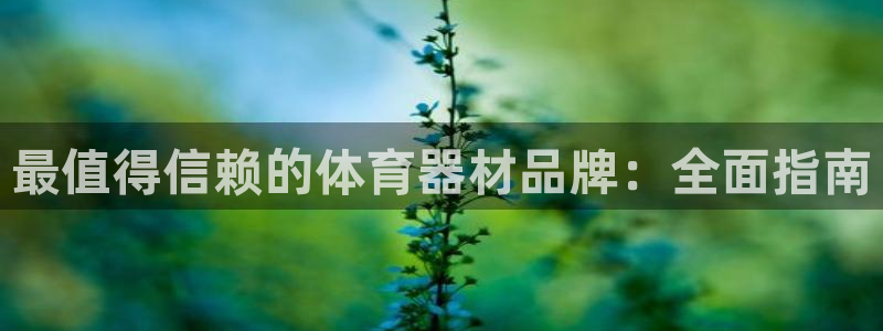 极悦平台注册流程详解图：最值得信赖的体育器材品牌：全
