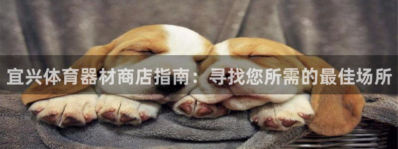 极悦娱乐百科百度贴吧：宜兴体育器材商店指南：寻找您所