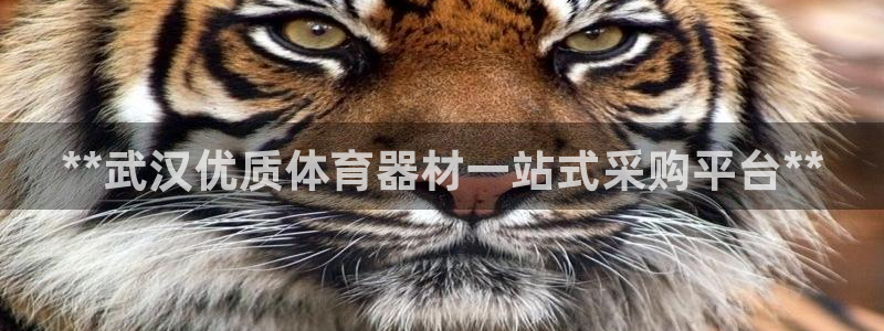 极悦官网旗舰店地址：**武汉优质体育器材一站式采购平