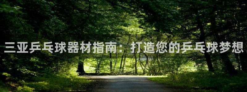 极悦平台用户评价怎么样：三亚乒乓球器材指南：打造您的