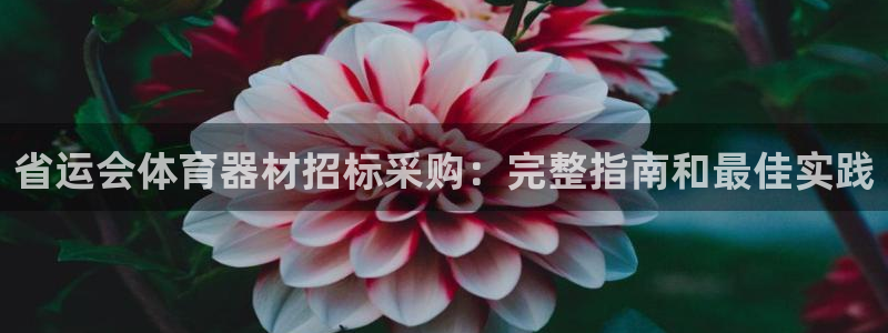 极悦娱乐代理多少钱一年：省运会体育器材招标采购：完整