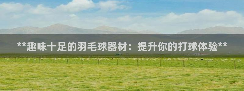 极悦平台是什么平台的：**趣味十足的羽毛球器材：提升