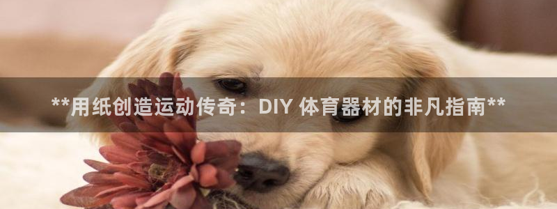 极悦官网首页登录入口下载：**用纸创造运动传奇：DI