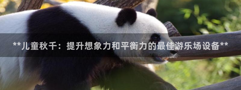 极悦平台代理怎么赚钱的：**儿童秋千：提升想象力和平