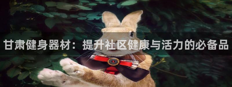 极悦娱乐旗下艺人名单：甘肃健身器材：提升社区健康与活