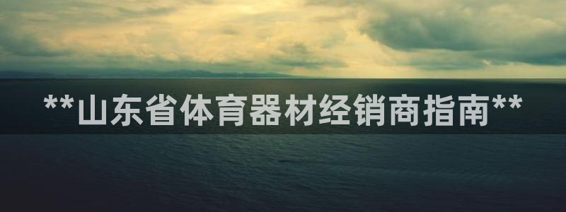 极悦娱乐官网入口：**山东省体育器材经销商指南**