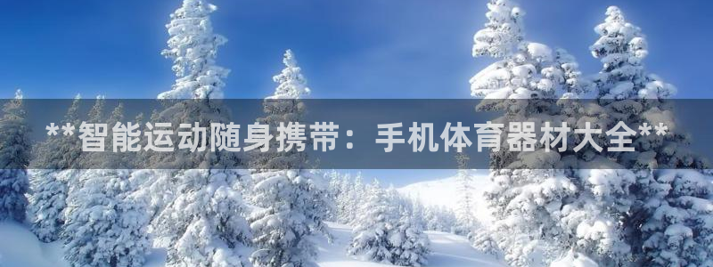 极悦平台安全吗可信吗：**智能运动随身携带：手机体育