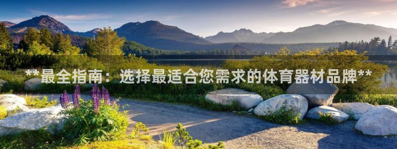 极悦平台官方网站是什么：**最全指南：选择最适合您需