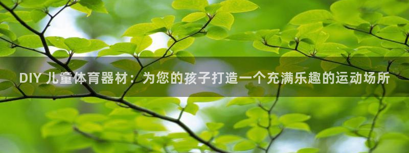 极悦平台代理电话：DIY 儿童体育器材：为您的孩子打