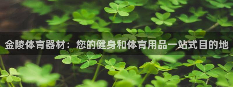 极悦娱乐旗下艺人名单：金陵体育器材：您的健身和体育用