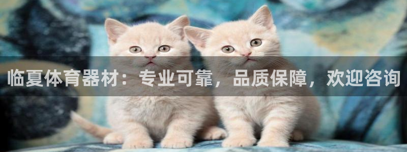 极悦娱乐官网入口：临夏体育器材：专业可靠，品质保障，