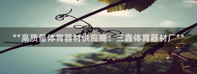 极悦平台注册官方网站下载手机版：**高质量体育器材供
