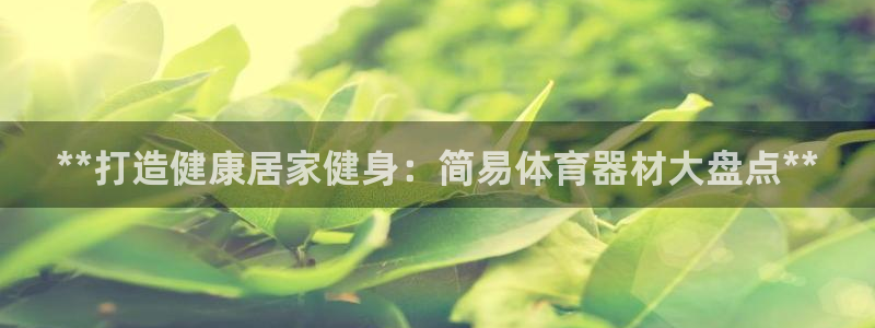 极悦官网旗舰店地址：**打造健康居家健身：简易体育器