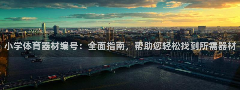 极悦平台与网易合作详情在哪：小学体育器材编号：全面指